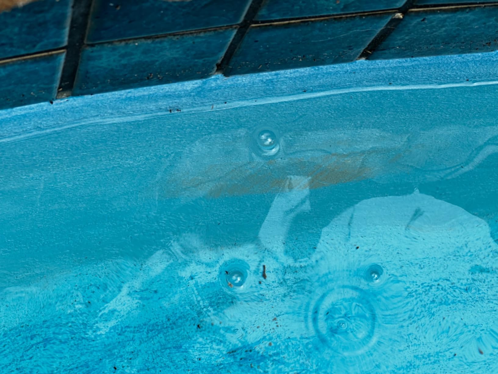 Copper Pool Algaecide for Swimming Pool - 90 Day Algaecide for Inground Pool to Prevent and Remove Pool Algae - Super Algaecide for Pool Opening - AquaDoc 32oz - Customer Photo 2