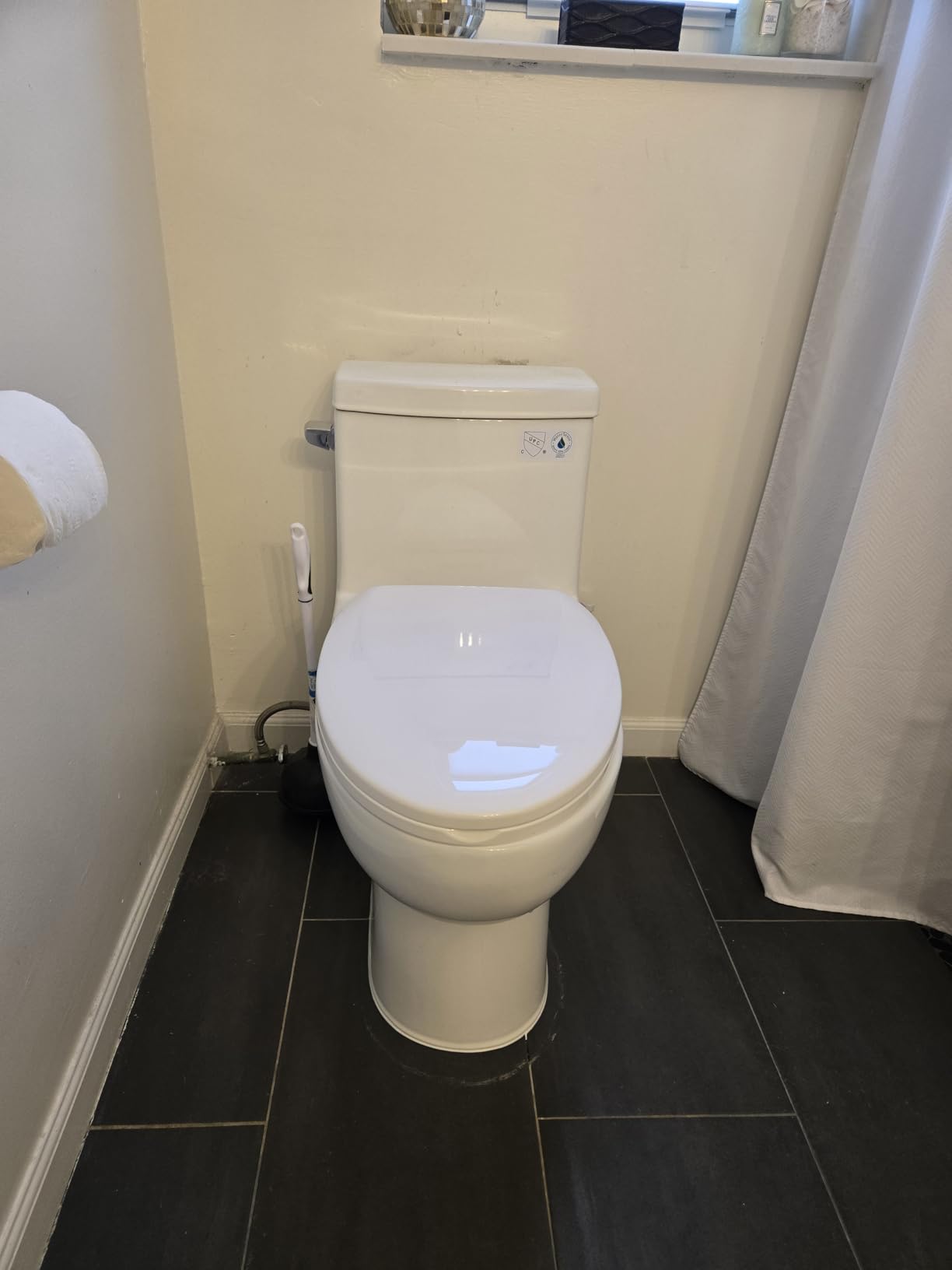 Dual flush toilet - Customer Photo 1