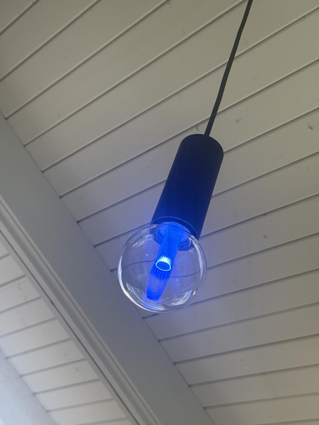 Philips Hue Lightguide ST23 Edison Smart LED Bulb – Handblown Glass - Color Changing Light - Compatible with Amazon Alexa, Apple HomeKit and Google Assistant - Bluetooth and Hue Bridge Compatible - Customer Photo 1