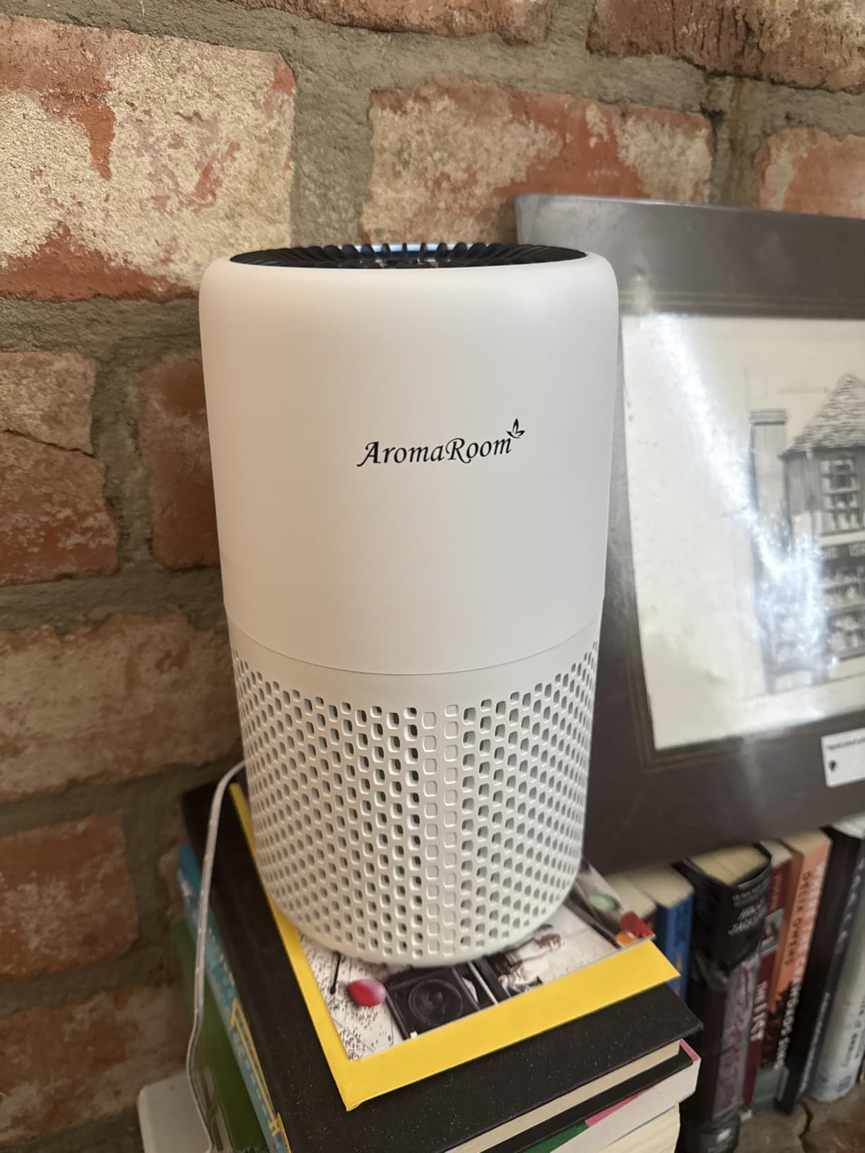 Air Purifiers for Home Bedroom, AromaRoom H13 HEPA Air Purifier Filter for Allergies, Pollen, Smoke, Dusts, Pets Dander, Odor, Hair, 22dB Quiet Air Cleaner for Room, Office, Dorm, AP100-B (Black) - Customer Photo 1