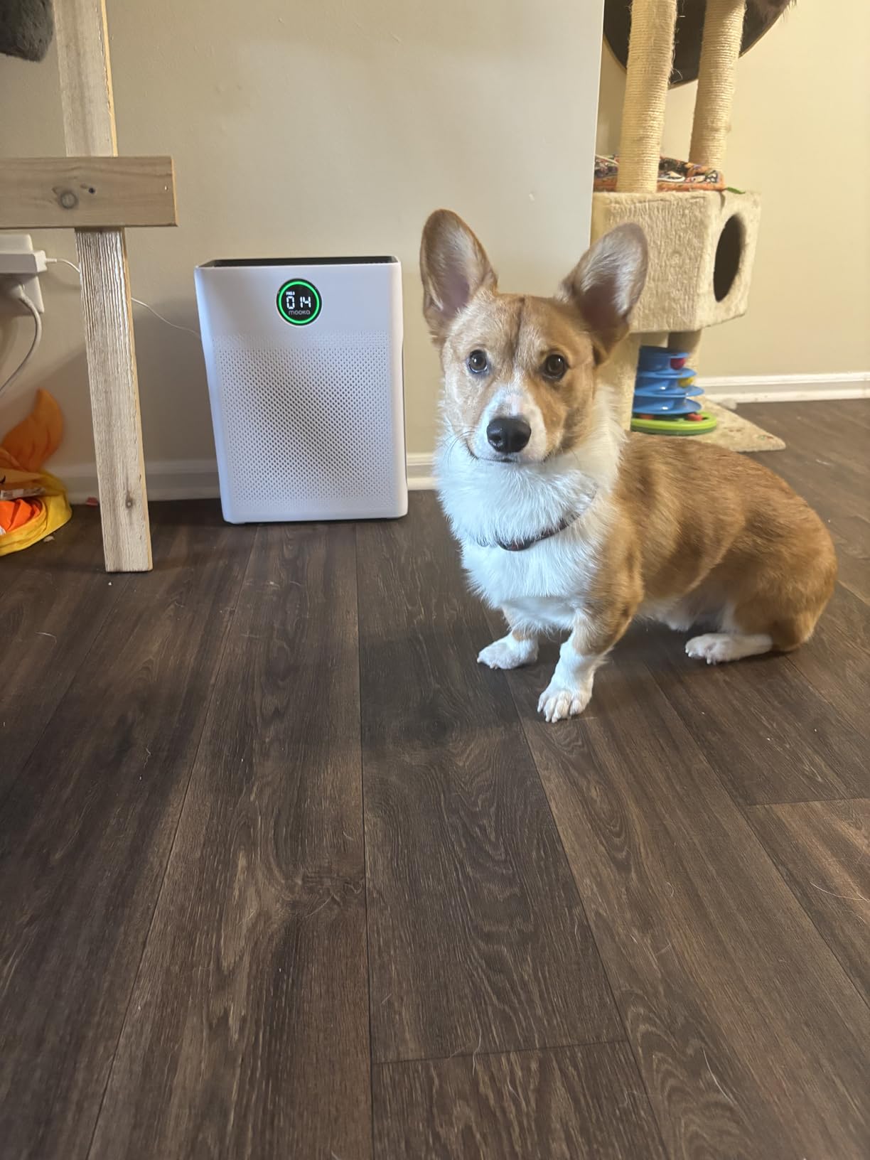Air Purifiers for Home Large Room up to 2200sq.ft, MOOKA Air purifier for Home Pets with Washable Filter, PM 2.5 Display Air Quality Sensor Air Cleaner for Bedroom, Dorm room, Pets, Office, PR1 - Customer Photo 2