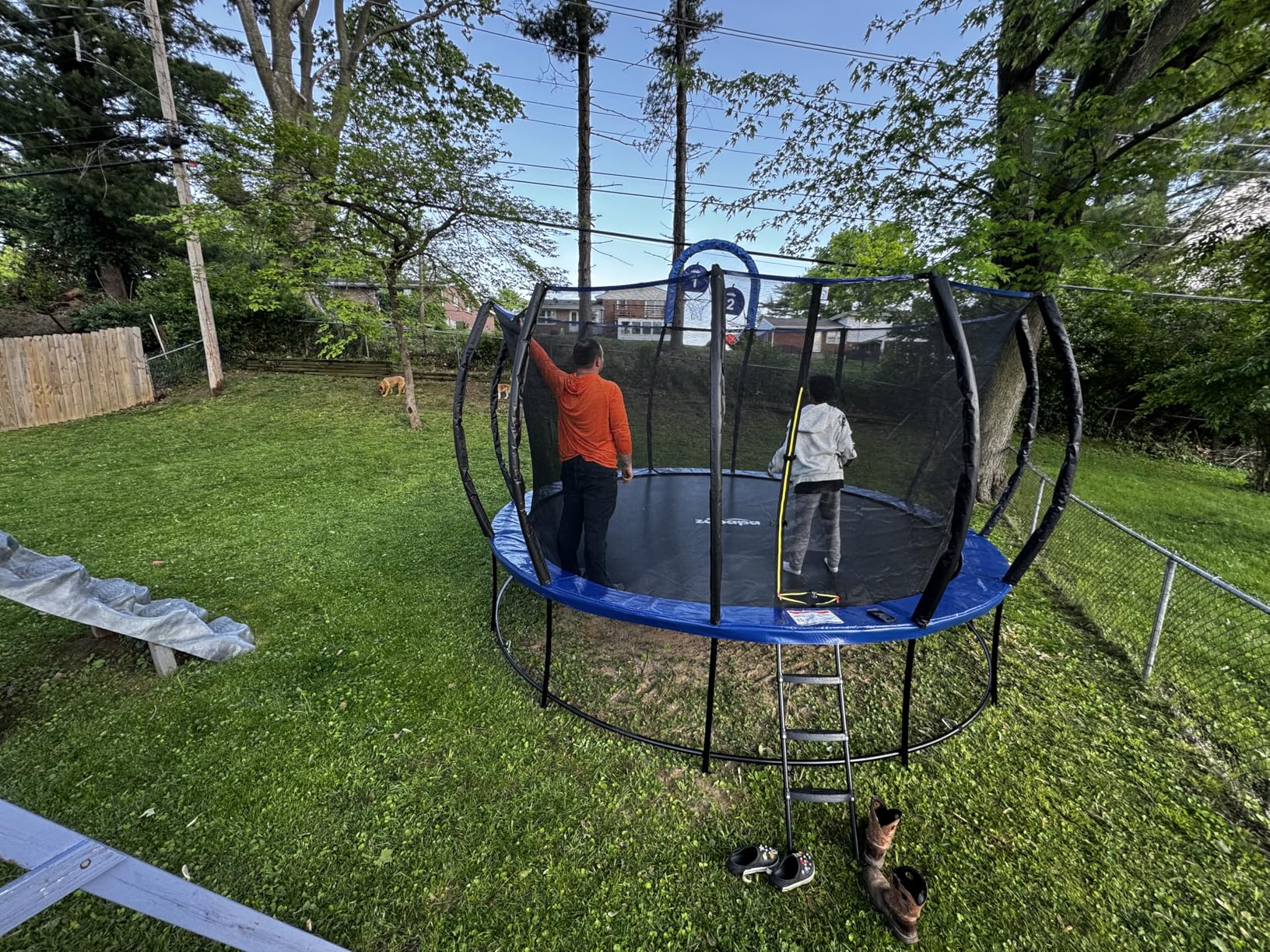 Zupapa 1800LBS Weight Capacity 2025 Double Frames Trampoline with No-Gap Design Curved Poles 16 15 14 12FT Trampolines for Kids with Enclosure Net Outdoor Trampolin for Children Adults Family - Customer Photo 1