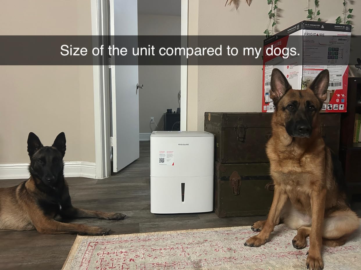 Frigidaire 60-Pint Portable Dehumidifier with Built-In Pump for Large Rooms & Basements, Custom Humidity Control, Auto Shut Off, White Customer Review Frigidaire 60-Pint Portable Dehumidifier with Built-In Pump for Large Rooms & Basements, Custom Humidity Control, Auto Shut Off, White - Customer Photo 2