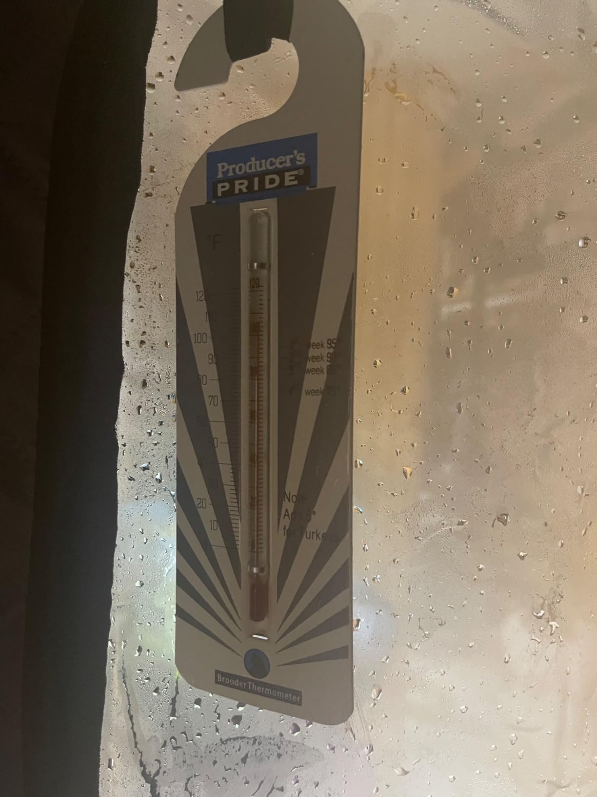 2 Person Portable Steam Sauna for Home, 1 or 2 Person Full Body Home Spa with 2 Foldable Chairs,9 Levels of Sauna Box with Remote Control, (Black, Large) - Customer Photo 1