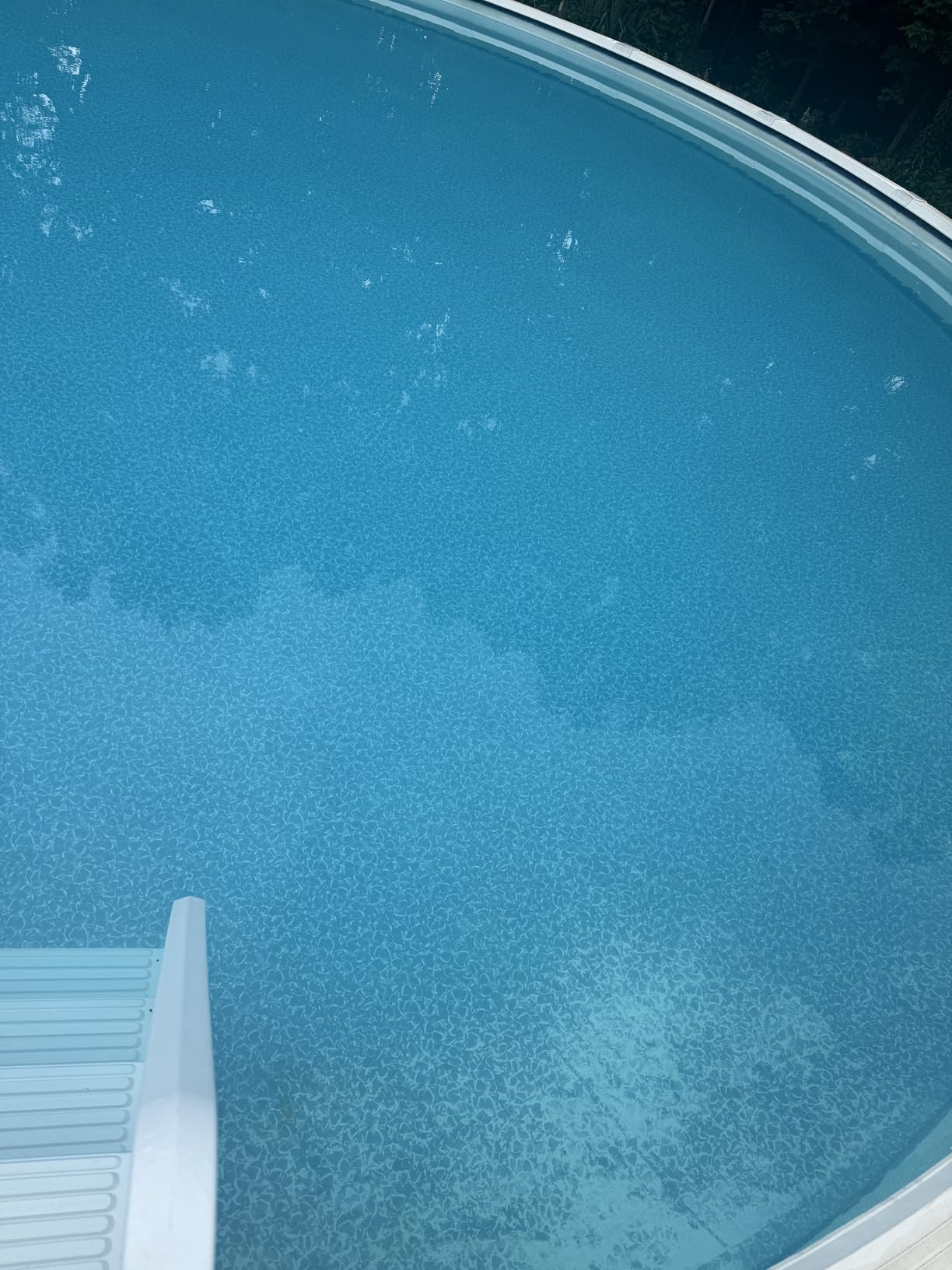 HTH 67244 Swimming Pool Care Algae Guard Ultra - Long Lasting Formula, Eliminates & Prevents Green, Black, and Mustard Algae, Fast Acting & Effective Swimming Pool Chemical, 32oz - Customer Photo 2