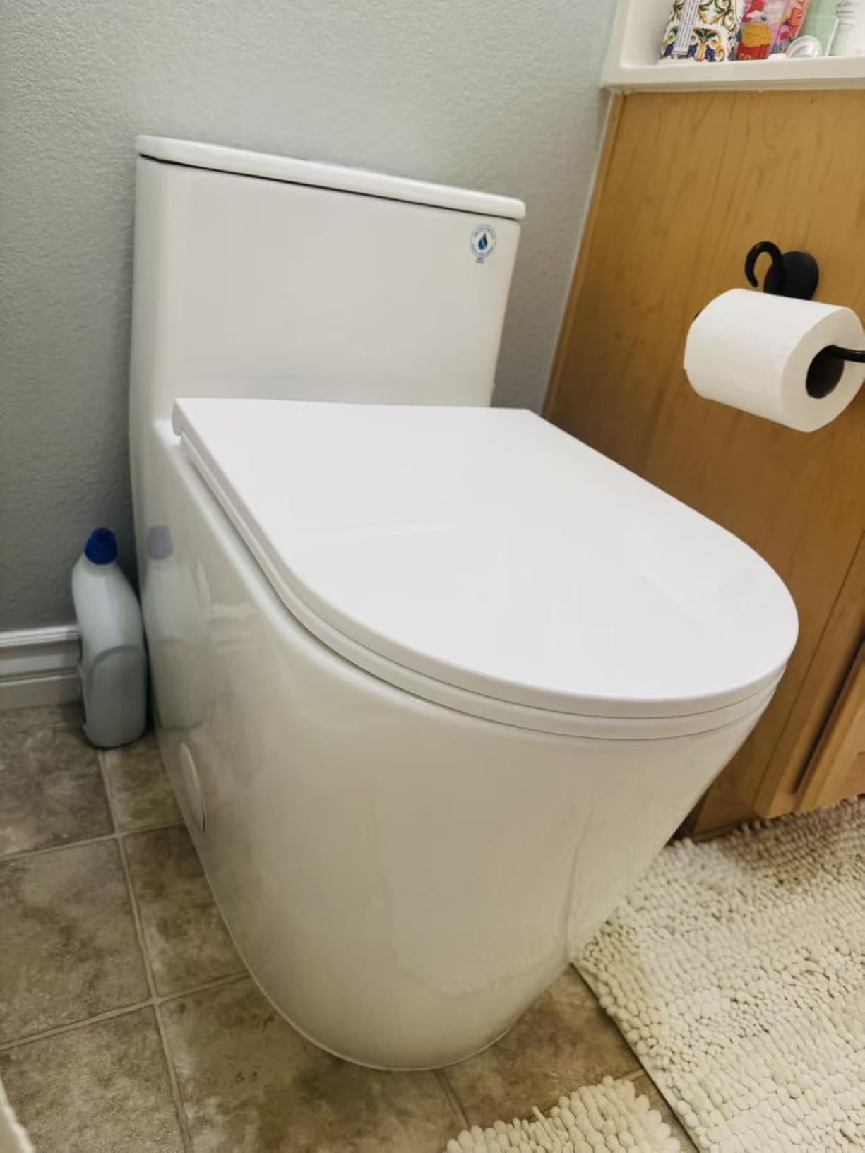Dual flush toilet - Customer Photo 1