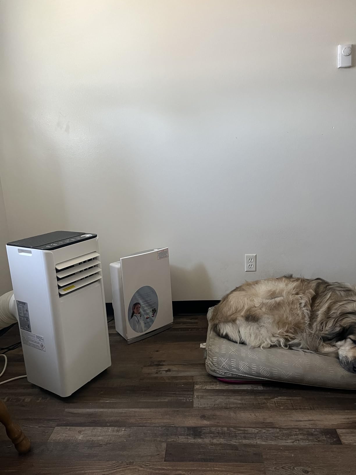 EUHOMY 8,000 BTU Portable Air Conditioners, 4-in-1 Portable AC Unit Up to 350 Sq.Ft, 4 Modes Quiet Air Conditioner with Remote Control, Cool, Fan, Dehumidifier, 24H Timer, Bedroom, Office, Apartments Customer Review EUHOMY 8,000 BTU Portable Air Conditioners, 4-in-1 Portable AC Unit Up to 350 Sq.Ft, 4 Modes Quiet Air Conditioner with Remote Control, Cool, Fan, Dehumidifier, 24H Timer, Bedroom, Office, Apartments - Customer Photo 1