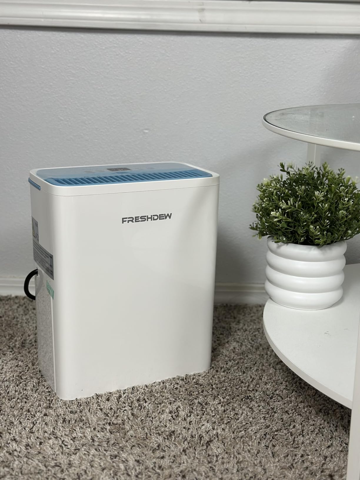 FRESHDEW Dehumidifier, 30 Pints Dehumidifiers for Home, 1500 Sq. Ft Dehumidifiers with Drain Hose, 0.52 Gallon Water Tank for Basement Bathroom Bedroom, Overflow Protection, 24H Timer (1500 Sq.ft) Customer Review FRESHDEW Dehumidifier, 30 Pints Dehumidifiers for Home, 1500 Sq. Ft Dehumidifiers with Drain Hose, 0.52 Gallon Water Tank for Basement Bathroom Bedroom, Overflow Protection, 24H Timer (1500 Sq.ft) - Customer Photo 1