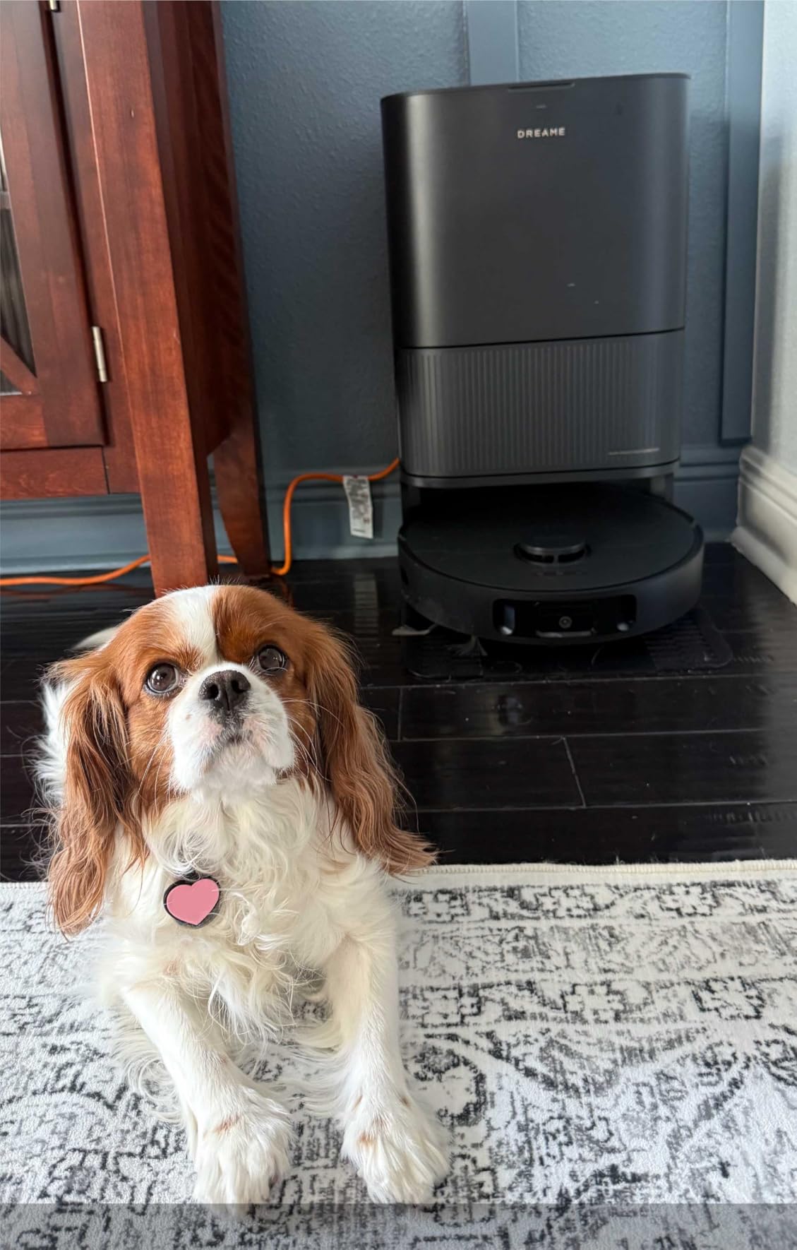DREAME L40s Ultra CE Robot Vacuum and Mop Combo with Self-Emptying Dock, 13,000Pa Suction, Mop Self-Cleaning and Auto-Raising, Ultrasonic Carpet Sensing, Ideal for Pet Hair, Carpet and Hard Floors - Customer Photo 2