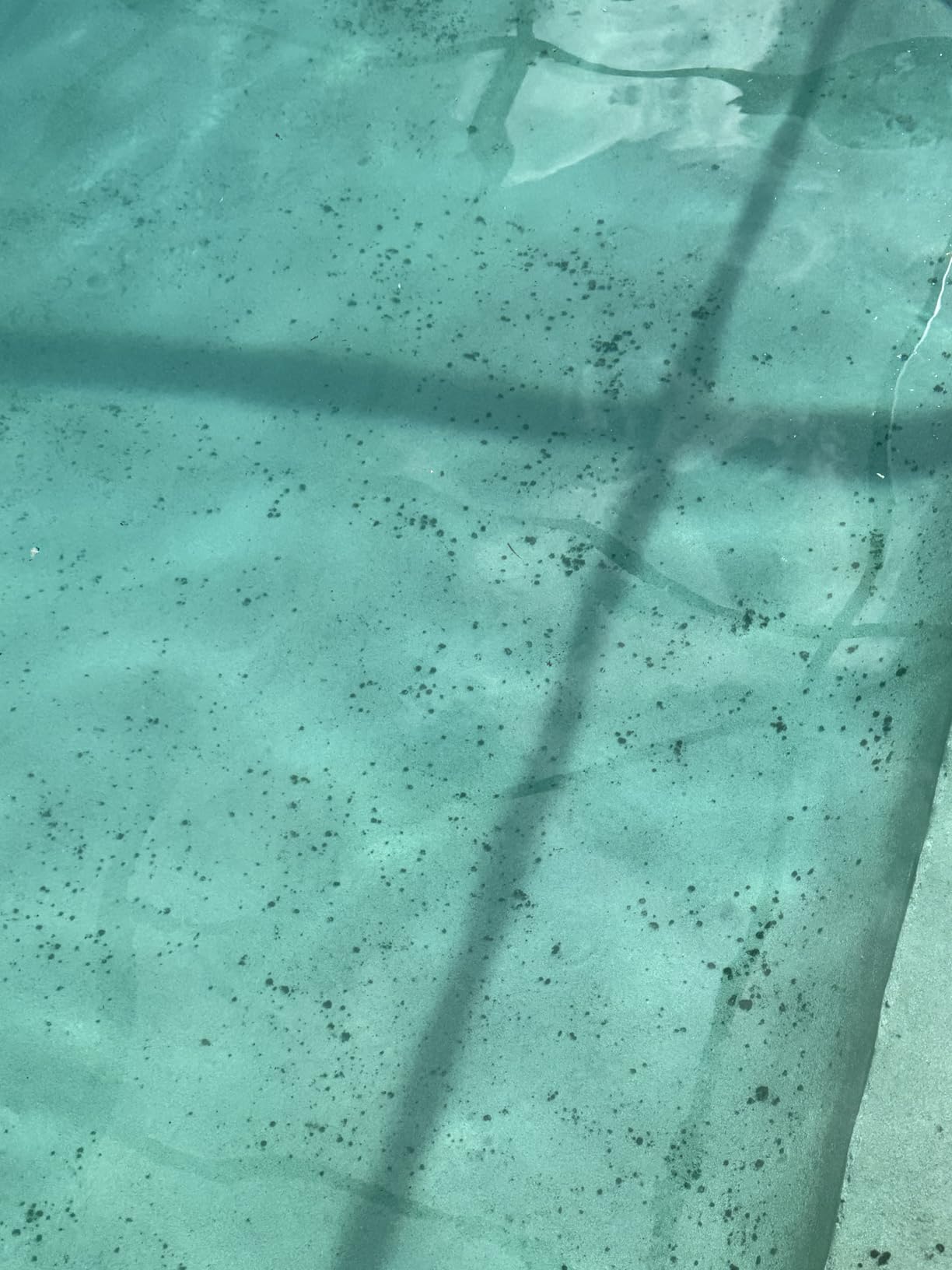 Copper Pool Algaecide for Swimming Pools - 64 oz - 90 Day Algaecide for Inground & Above Ground Pools, Helps Prevent & Remove Green, Mustard, Blue, Black Algae - AquaDoc - Customer Photo 2