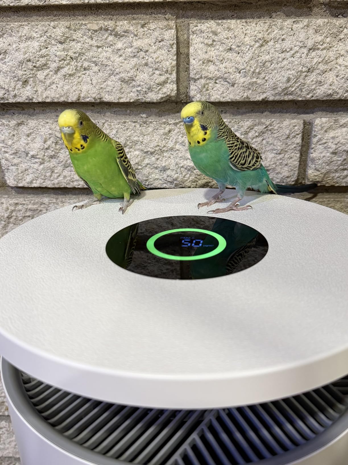 Air Purifier for Home Large Room up to 3620Ft², H13 True HEPA Air Purifiers for Home Pet Hair Dander Odor Pollen, Air Cleaner with Smart WiFi, 360° Air Intake, Auto Mode, Pet Lock, 22dB Quiet - Customer Photo 1