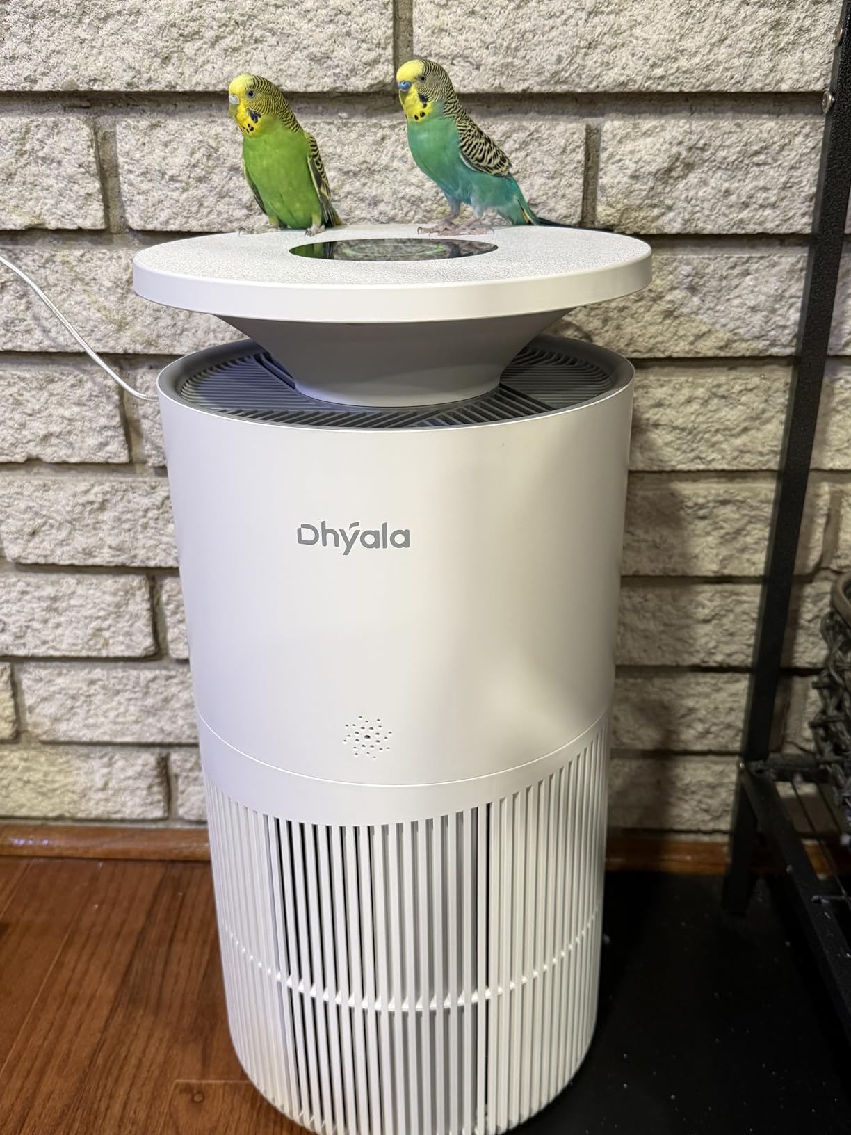 Air Purifier for Home Large Room up to 3620Ft², H13 True HEPA Air Purifiers for Home Pet Hair Dander Odor Pollen, Air Cleaner with Smart WiFi, 360° Air Intake, Auto Mode, Pet Lock, 22dB Quiet - Customer Photo 2