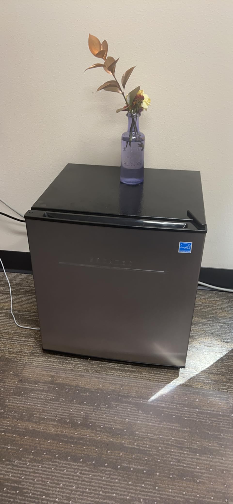 Frestec Mini Fridge with Freezer 3.2 Cu.Ft. 2 Door Refrigerator and Freezer Small Fridge for Bedroom Home Office Dorm, Small Drink Chiller, 37 dB Low Noise, Stainless Steel Customer Review Frestec Mini Fridge with Freezer 3.2 Cu.Ft. 2 Door Refrigerator and Freezer Small Fridge for Bedroom Home Office Dorm, Small Drink Chiller, 37 dB Low Noise, Stainless Steel - Customer Photo 2