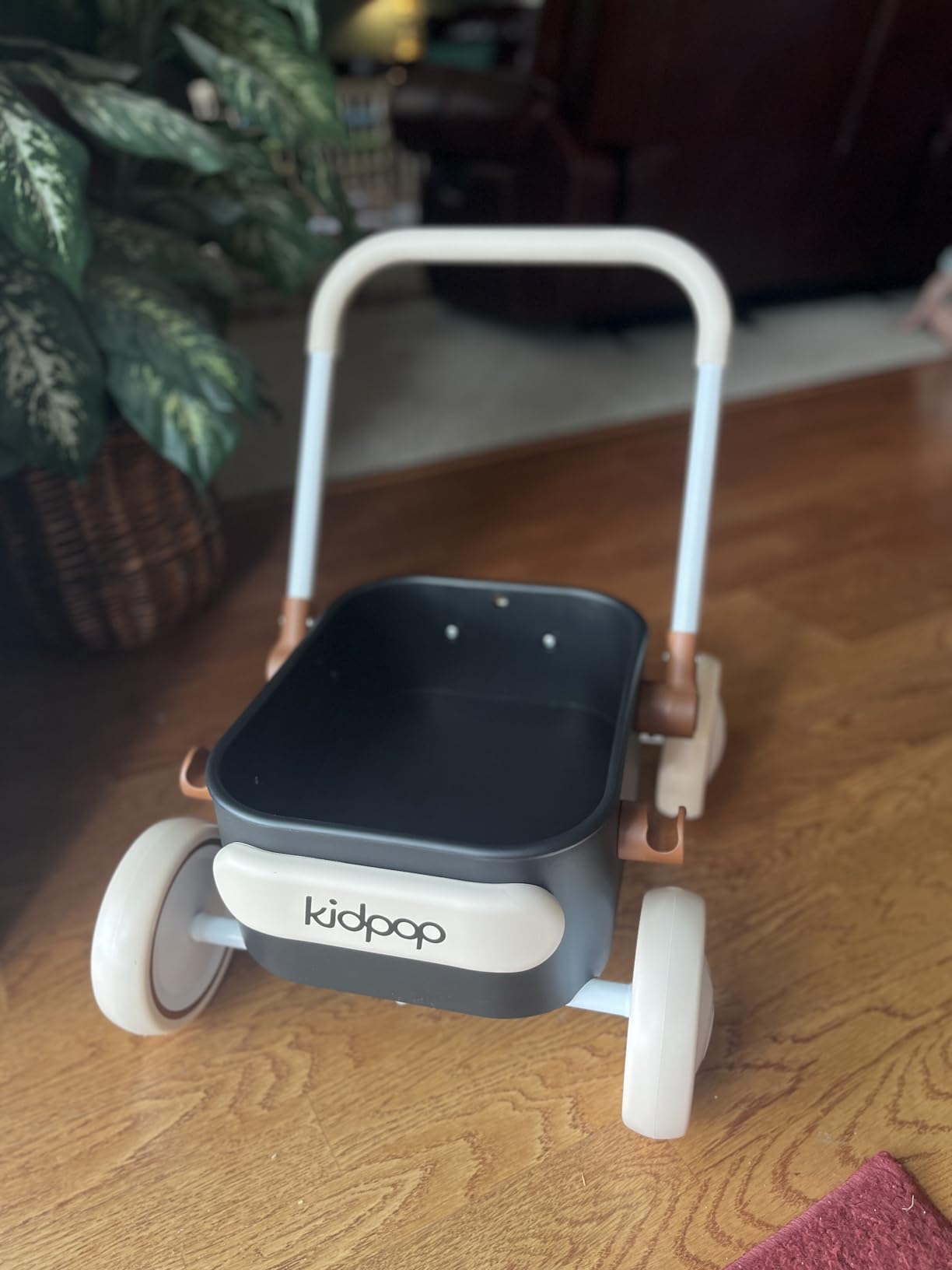Kidpop PULA 2-in-1 Push and Pull-Along Wagon, Baby Push Walker for First Learner from 7 Month to 4 Year, One Year Birthday Gifts, Sturdy and Safe, Indoors and Outdoors (White) - Customer Photo 1
