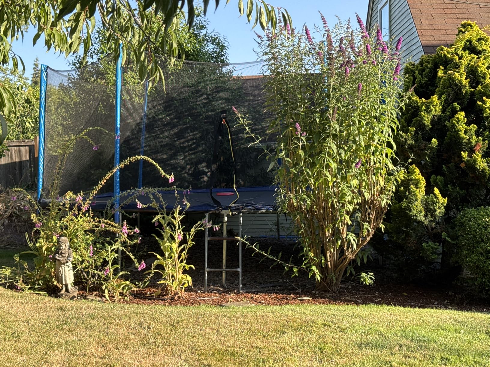 ORCC 1200LBS Weight Capacity Trampoline 16 15 14 12 10 8FT Outdoor Yard Trampolines for Kids Adults - Customer Photo 1