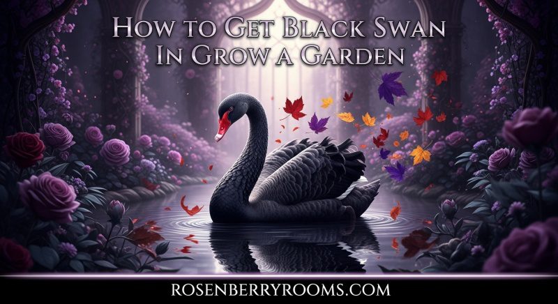How To Get Rare Black Swan in Grow A Garden Roblox Guide