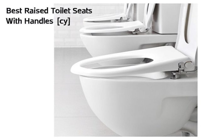 Best Raised Toilet Seats With Handles