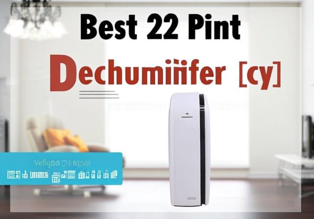 Best 22 Pint Dehumidifier [cy]: Real Testing Results - Rosenberry Rooms
