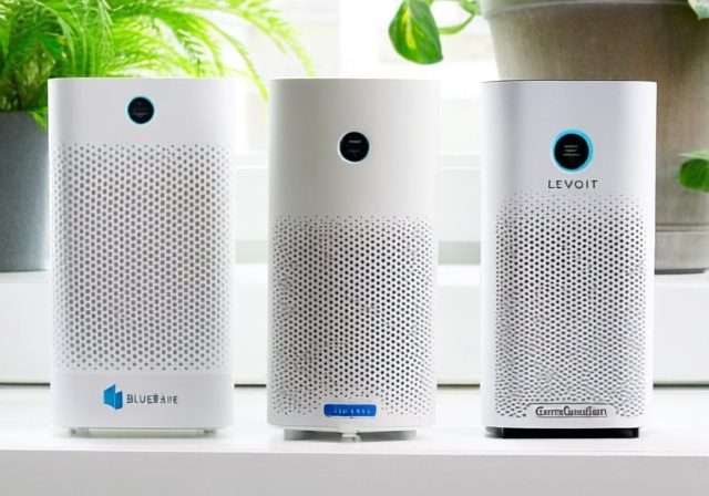 Best Air Purifiers for Mold [cy]: 10 Models Tested for Spore Reduction - Rosenberry Rooms