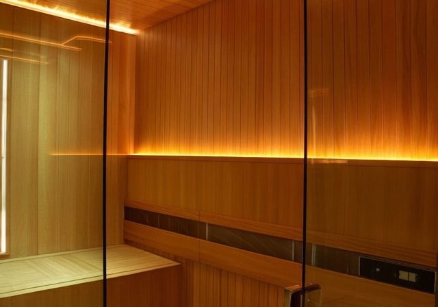 Sun Home Equinox Review [cy]: Premium Infrared Sauna Worth $6,299? - Rosenberry Rooms