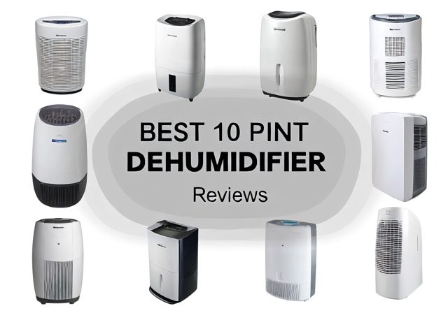 Best 10 Pint Dehumidifier [cy]: Complete Guide After Testing 10 Models - Rosenberry Rooms