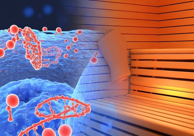 Heat Shock Proteins And Sauna [cy]: Unlock Your Body's Natural Defense System - Rosenberry Rooms