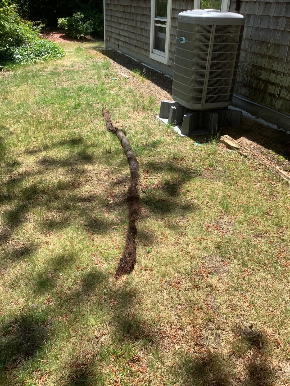 Drain King H34 Unclogs Sewer Lines, Main, and Outside Deck Drains, 3 To 4 Inch Customer Review Drain King H34 Unclogs Sewer Lines, Main, and Outside Deck Drains, 3 To 4 Inch - Customer Photo 1