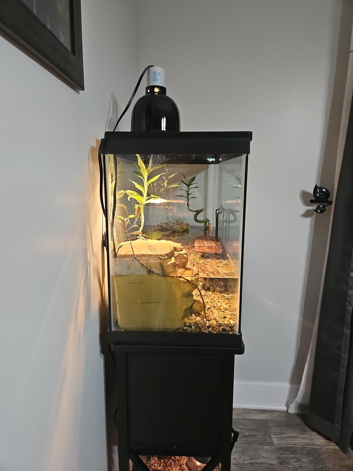 Tetra Decorative ReptoFilter, Terrarium Filtration & Waterfall, For Turtles, Frogs, & Newts. Keeps Water Clear customer photo 1