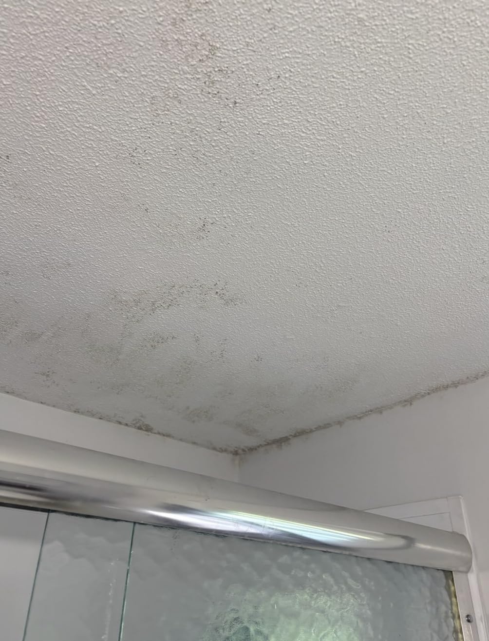 Zinsser 02774 PERMA-WHITE Mold & Mildew Proof Interior Paint, Quart, Eggshell White - Customer Photo 1