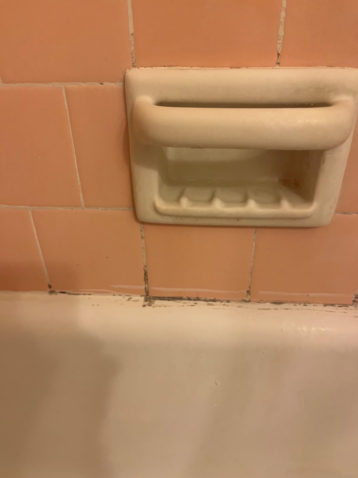 Clorox Plus Tilex Mold and Mildew Remover with Bleach, Spray Bottle, 32 Fl Oz (Package May Vary) - Customer Photo 1