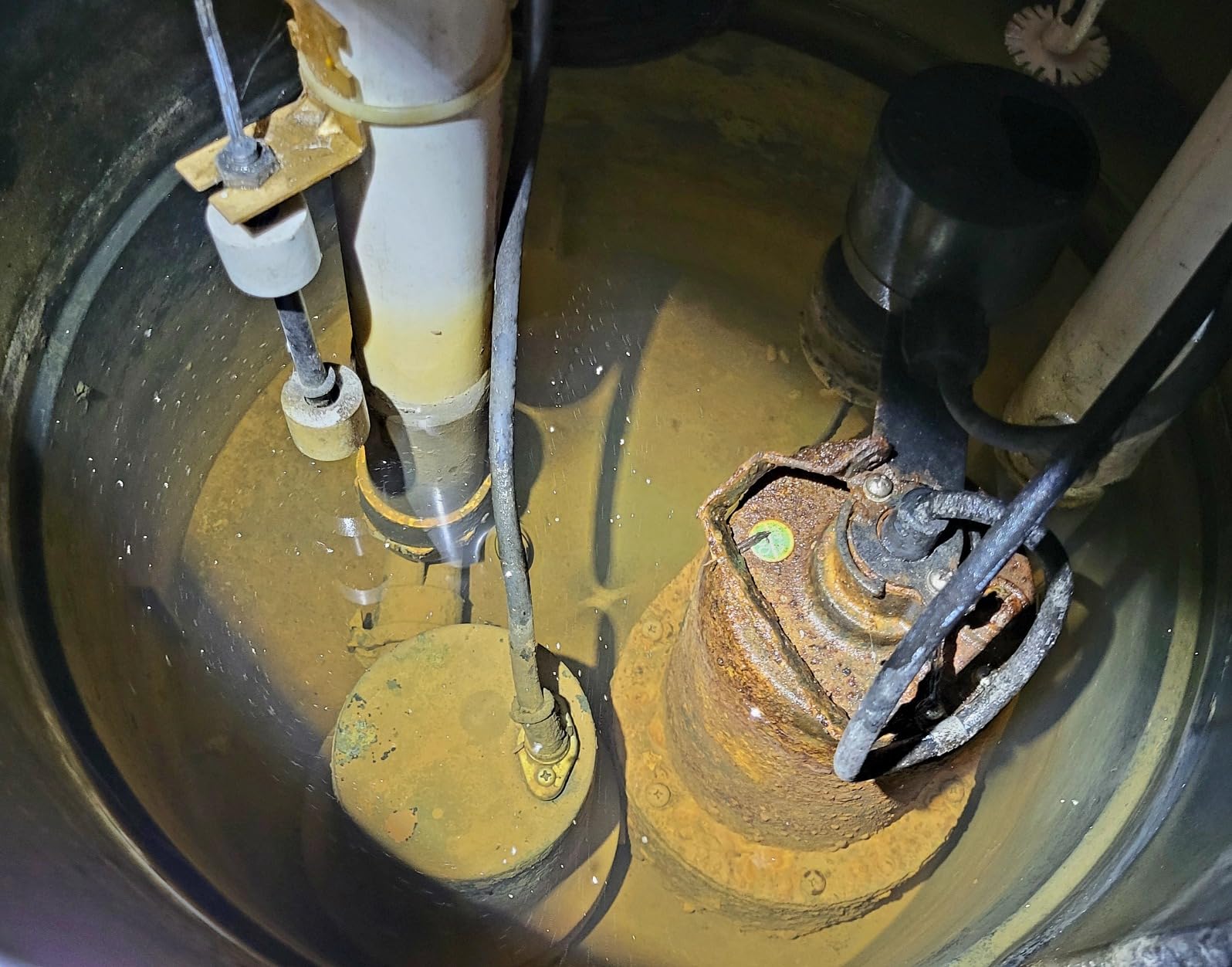 Superior Pump 92511 1/2 HP Cast Iron Submersible Sump Pump with Vertical Float Switch Customer Review Superior Pump 92511 1/2 HP Cast Iron Submersible Sump Pump with Vertical Float Switch - Customer Photo 1