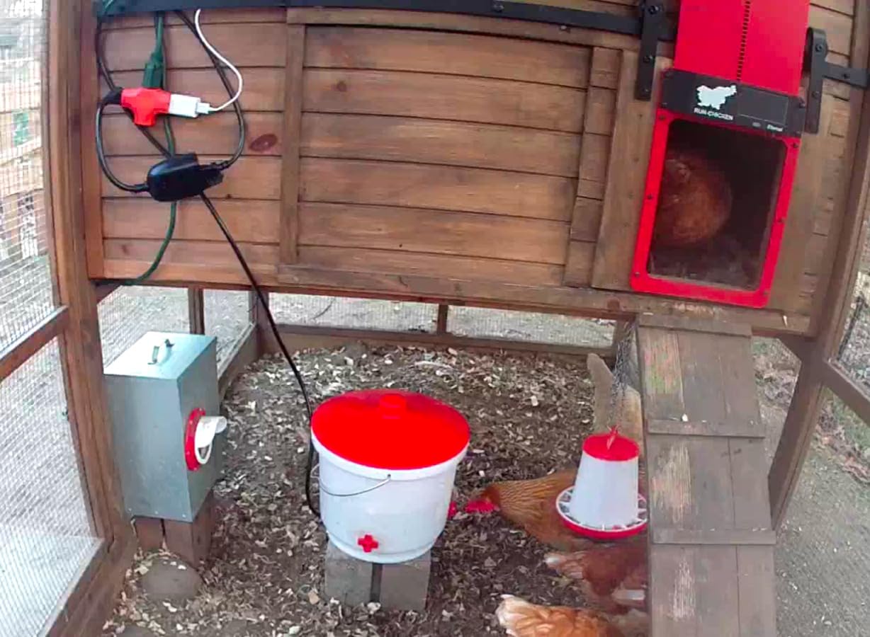 Farm Innovators Heated Chicken Waterer, Hanging Poultry Water Fountain, 3 Gallon, Red - Plastic Water Dispenser with Heater for Chicks, Chickens, and Livestock - Customer Photo 1