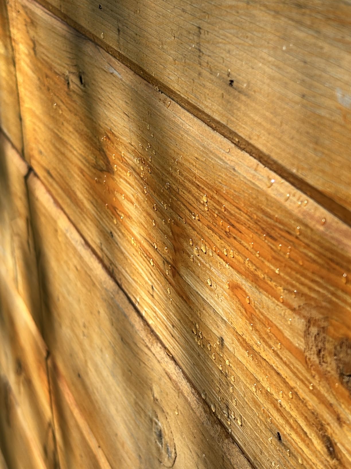 Rust-Oleum WOODLIFE 902 Wolman Classic Clear Wood Preservative-Above Ground, Quart, 0.95 Liters - Customer Photo 1