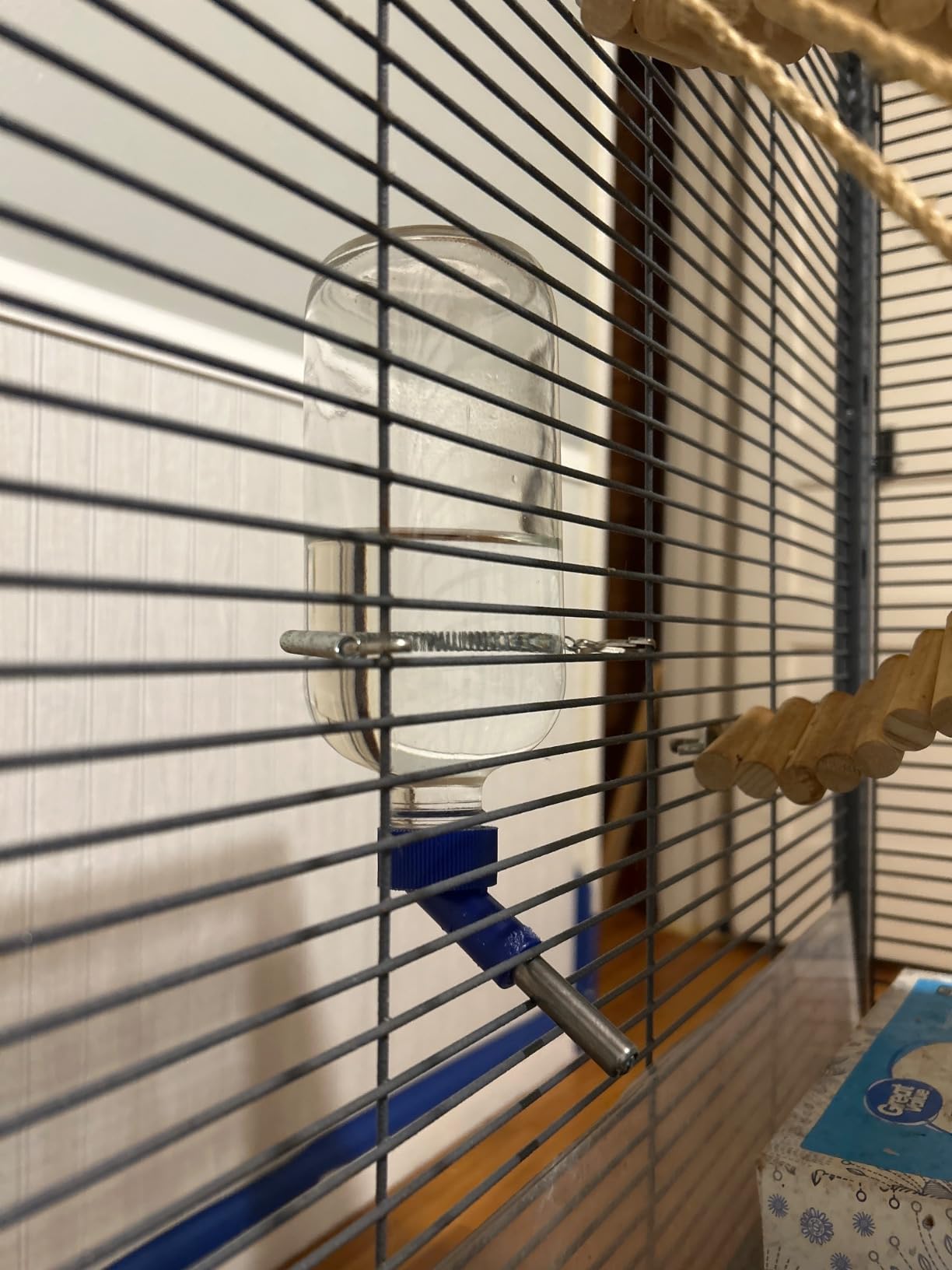 Lixit Glass Water Bottles for Rabbits, Ferrets, Small Birds, Guinea Pigs, Rats, Hamsters and Other Pets (16oz) - Customer Photo 2