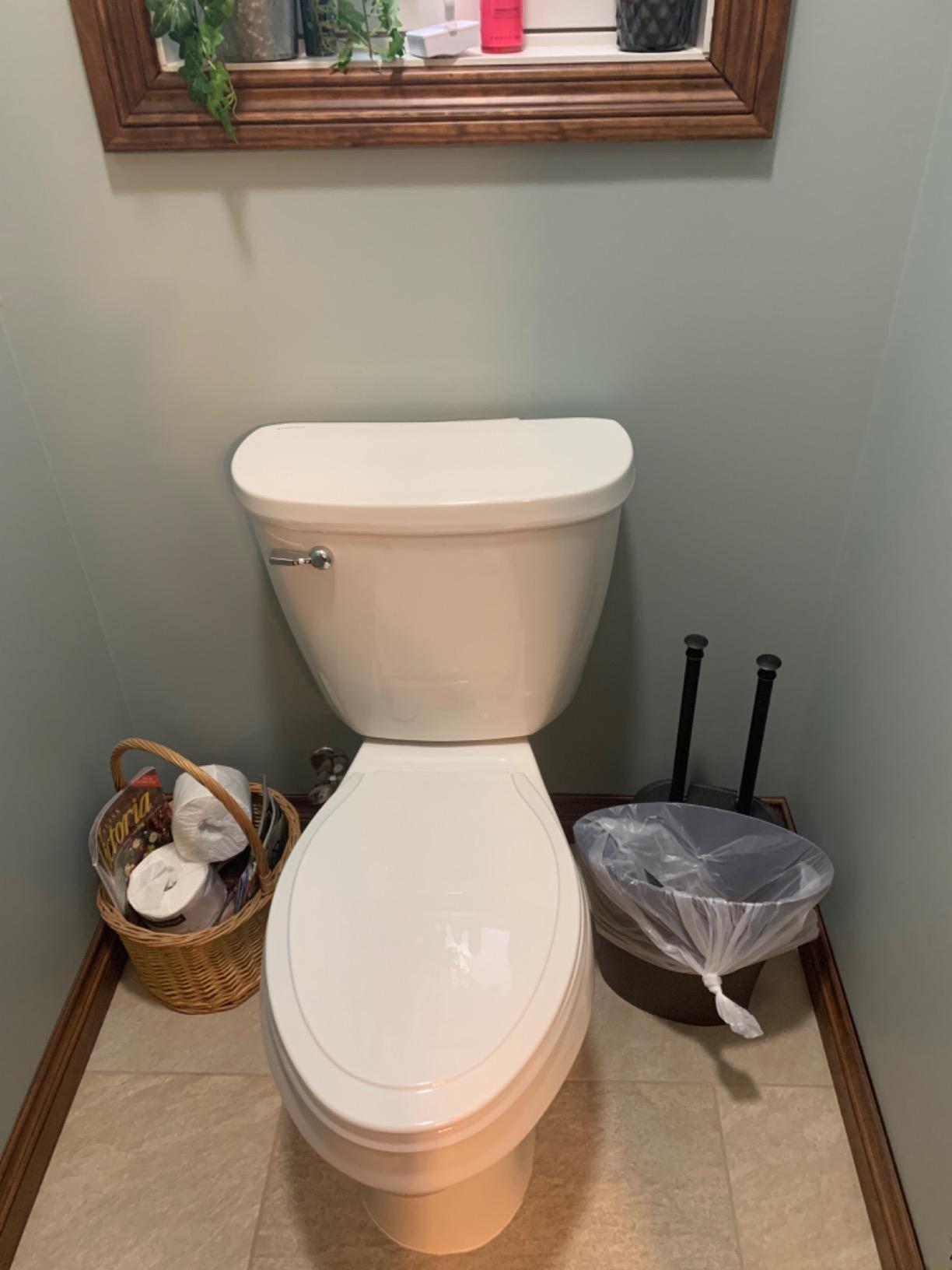 Mansfield Plumbing 384.386.WHT Summit ADA Toilet, White Customer Review Mansfield Plumbing 384.386.WHT Summit ADA Toilet, White - Customer Photo 1