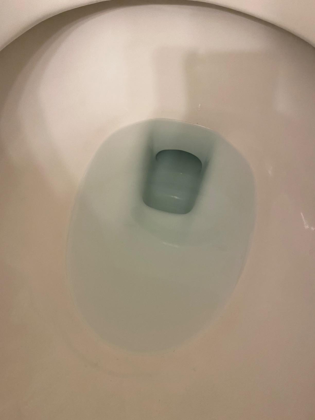 NuvoH2O Citrus-Based, Salt-Free Water Filter System + Water Softener - Healthy & Pure Water, Retains Healthy Minerals - Removes Hard Water Build Up (Home System) customer photo 1