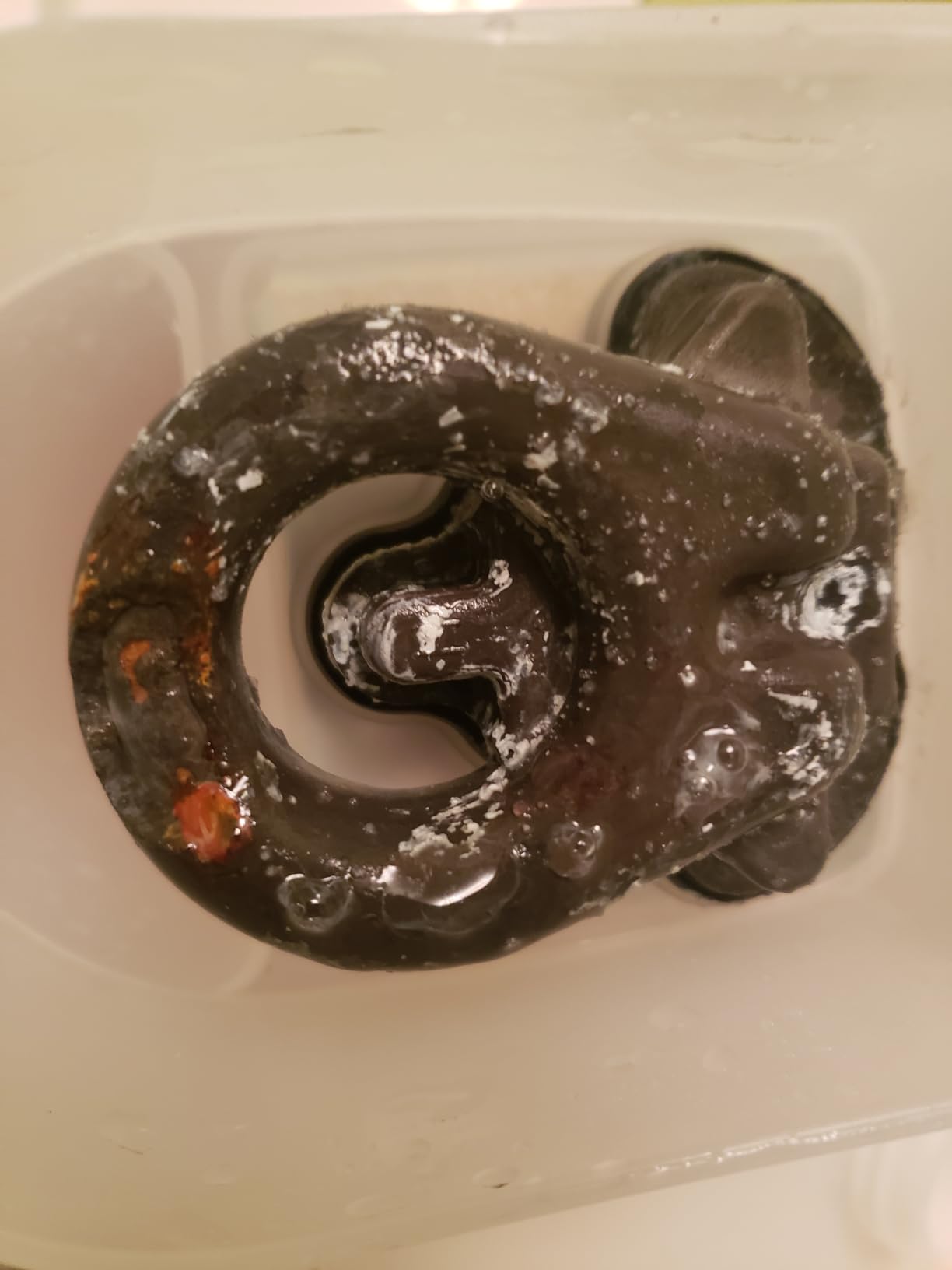 H2o Labs Model 200 is the Most Convenient and Lightweight Countertop Water Distiller for Home use with VOC Vent, Easy-Fill 1 Gallon Tap Water Reservoir and Food Safe Collection Container - Customer Photo 2