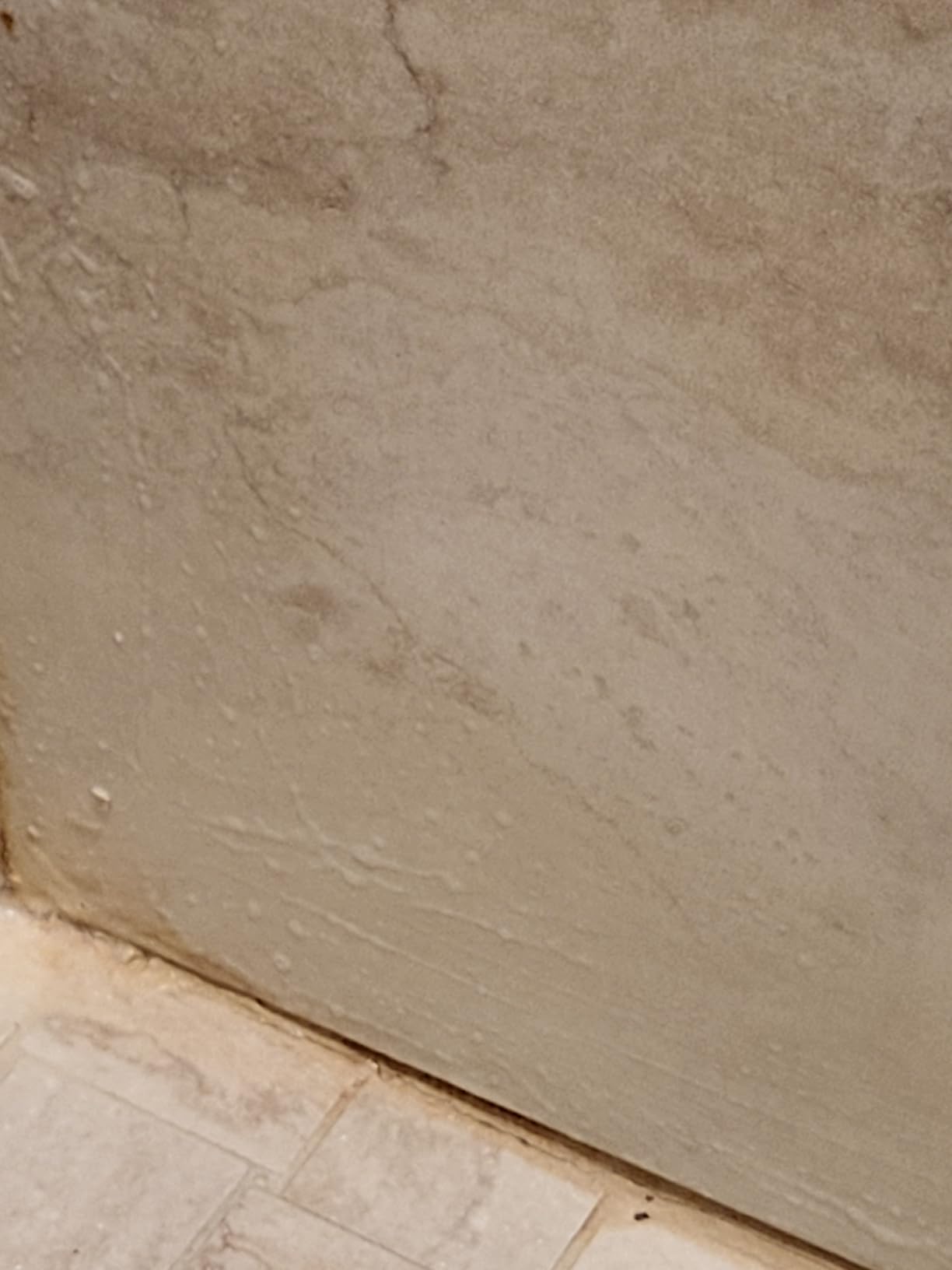 DuPont Mold & Mildew Stain Remover for Natural Stone Customer Review DuPont Mold & Mildew Stain Remover for Natural Stone - Customer Photo 2