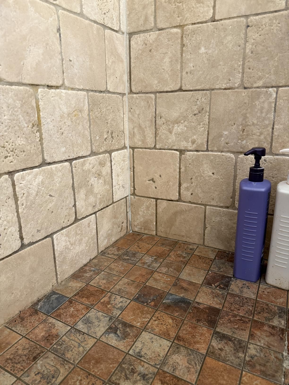 DuPont Mold & Mildew Stain Remover for Natural Stone Customer Review DuPont Mold & Mildew Stain Remover for Natural Stone - Customer Photo 4