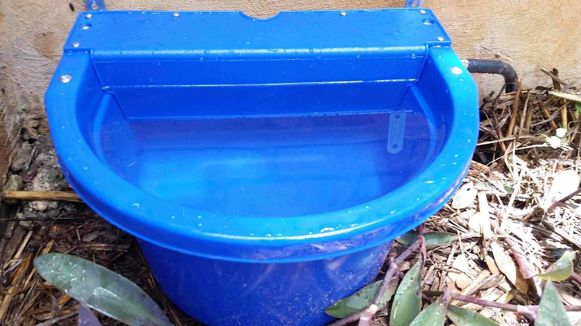 Little Giant® Automatic Animal Waterer | Float Controlled Automatic Waterer for Livestock | Heavy Duty and Durable | Made in USA | 4 Gallon | Blue - Customer Photo 2