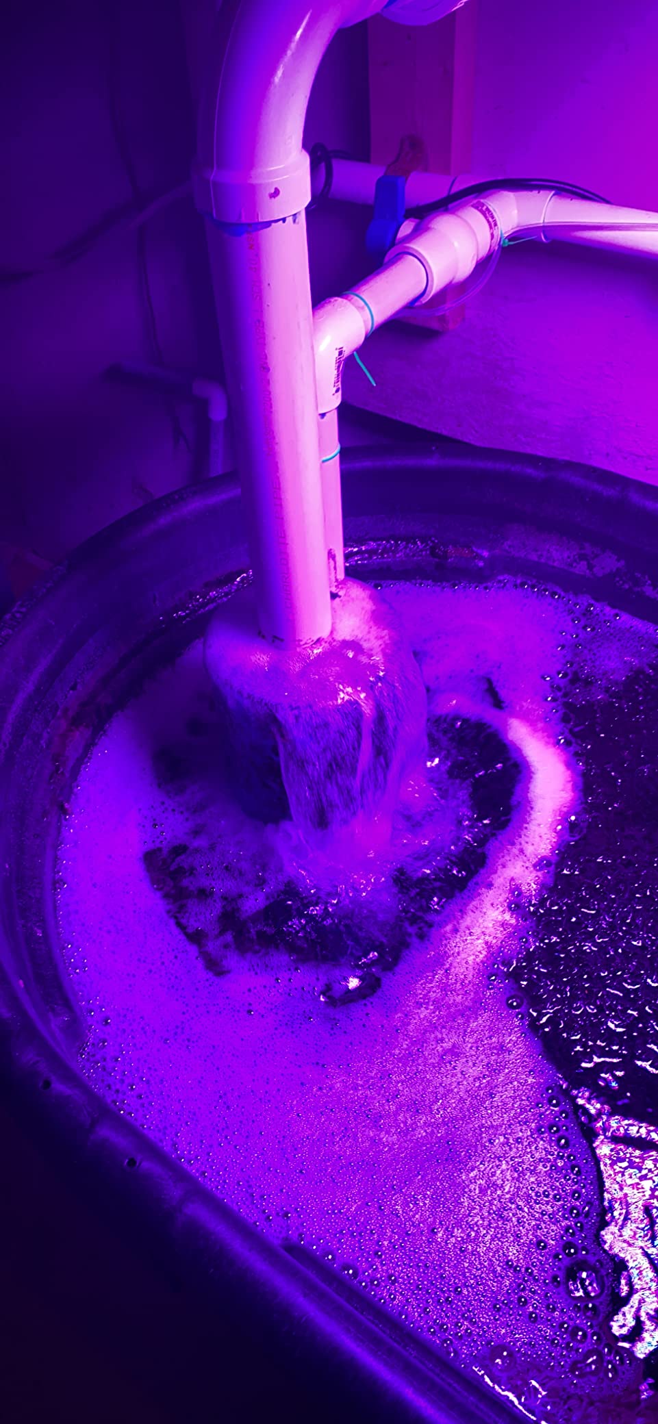 ReeFlo 11143 Utility Hammerhead/Barracuda Hybrid Pump Customer Review ReeFlo 11143 Utility Hammerhead/Barracuda Hybrid Pump - Customer Photo 2