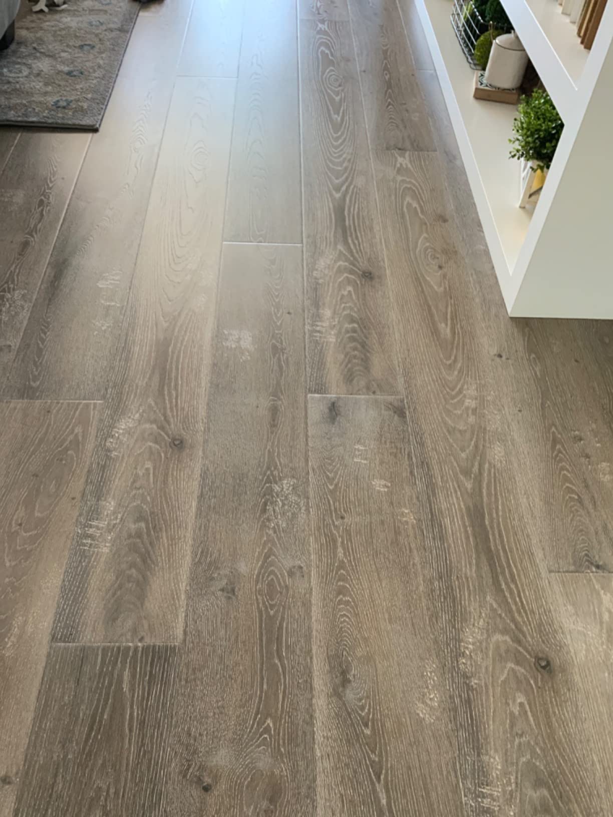 OdoBan Professional Series Neutral pH No Rinse Floor Cleaner Concentrate, Made in the USA, 1 Gallon Customer Review OdoBan Professional Series Neutral pH No Rinse Floor Cleaner Concentrate, Made in the USA, 1 Gallon - Customer Photo 2