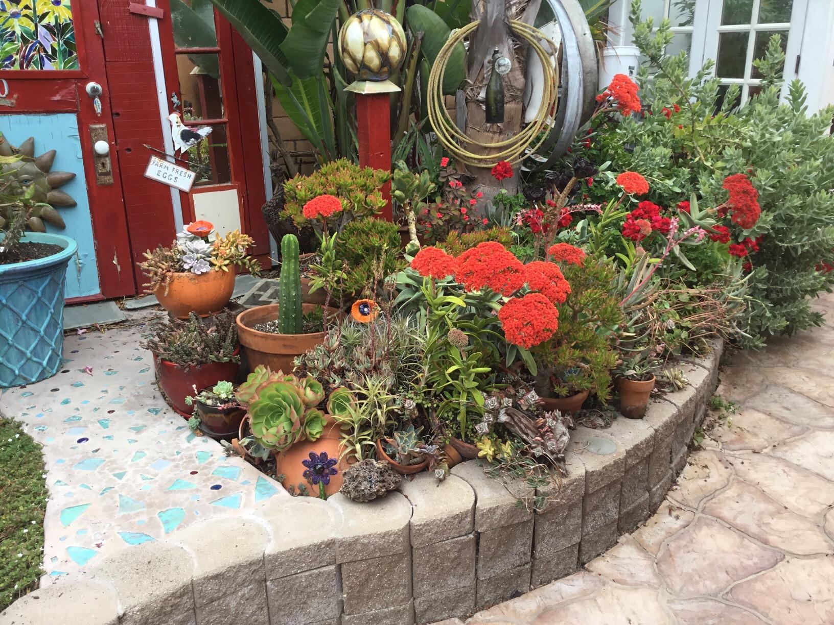 Camco GardenPURE Carbon Water Filter - Inline Garden Hose Water Filter - Filters Chlorine & Chloramine Compounds for Improved Plant Health - Perfect for Hydro and Aeroponic Gardening Systems (40691) - Customer Photo 1