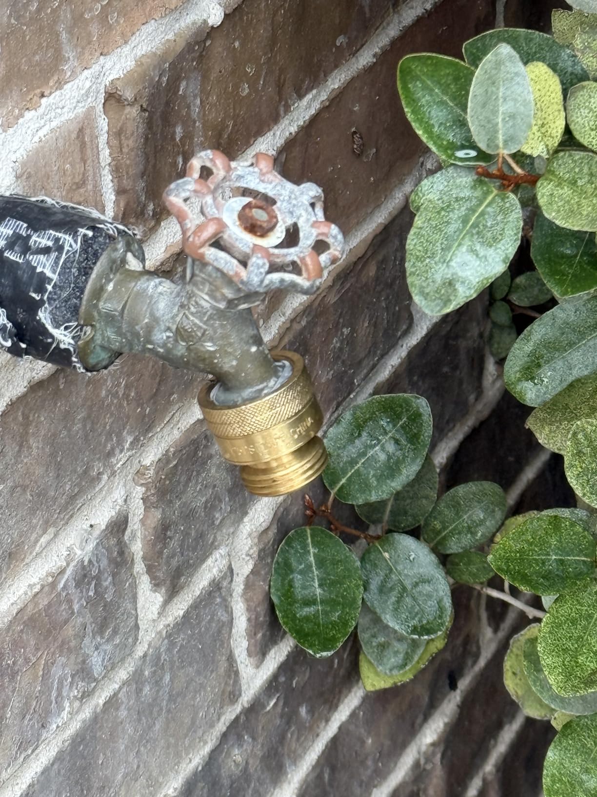 Eastman 3/4 Inch FHT x 3/4 Inch MHT Hose Bibb Anti Siphon Vacuum Breaker, Brass Plumbing Fitting, 20199 - Customer Photo 1