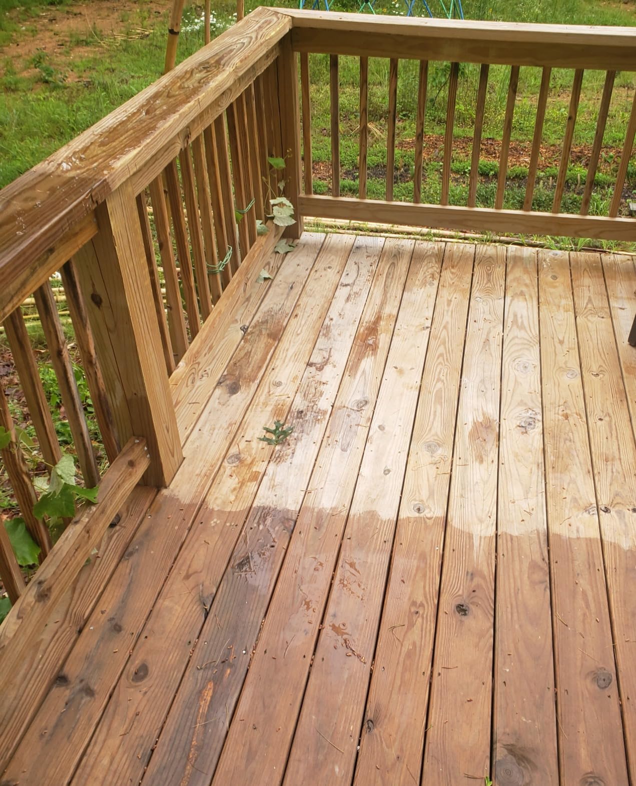 Eco Advance Exterior Waterproof Wood Sealer, Odorless Water Repellent, Safe for Plants and Pets, Concentrate Makes 1 Gallon (16 Fl OZ White but Dries Clear) - Customer Photo 1
