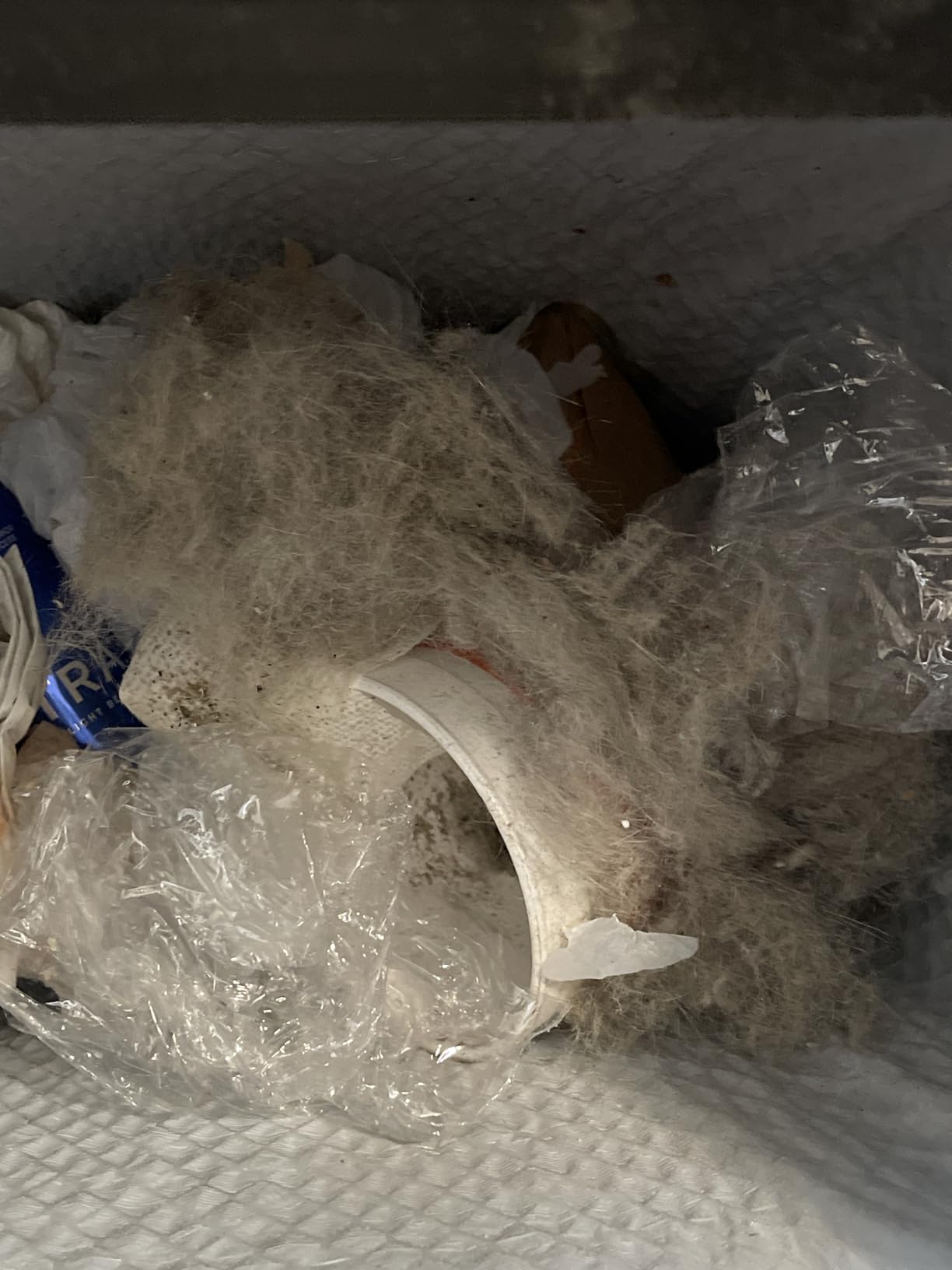 Shark HV322 Rocket Deluxe Pro Corded Stick Vacuum with LED Headlights, XL Dust Cup, Lightweight, Perfect for Pet Hair Pickup, Converts to a Hand Vacuum, with Pet Attachments, Bordeaux/Silver - Customer Photo 1