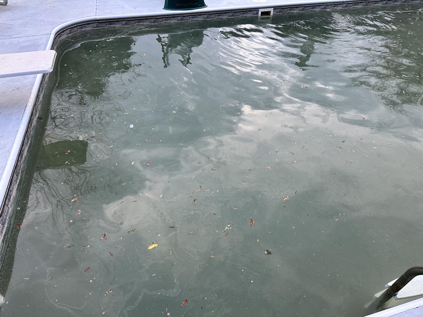 Clorox® Pool&Spa™ Swimming Pool Sink to Clear Flocculant, Sinks Debris, Dead Algae, Large Particles & Other Matters to Pool Floor, 1 Quart (Pack of 1) Customer Review Clorox® Pool&Spa™ Swimming Pool Sink to Clear Flocculant, Sinks Debris, Dead Algae, Large Particles & Other Matters to Pool Floor, 1 Quart (Pack of 1) - Customer Photo 2