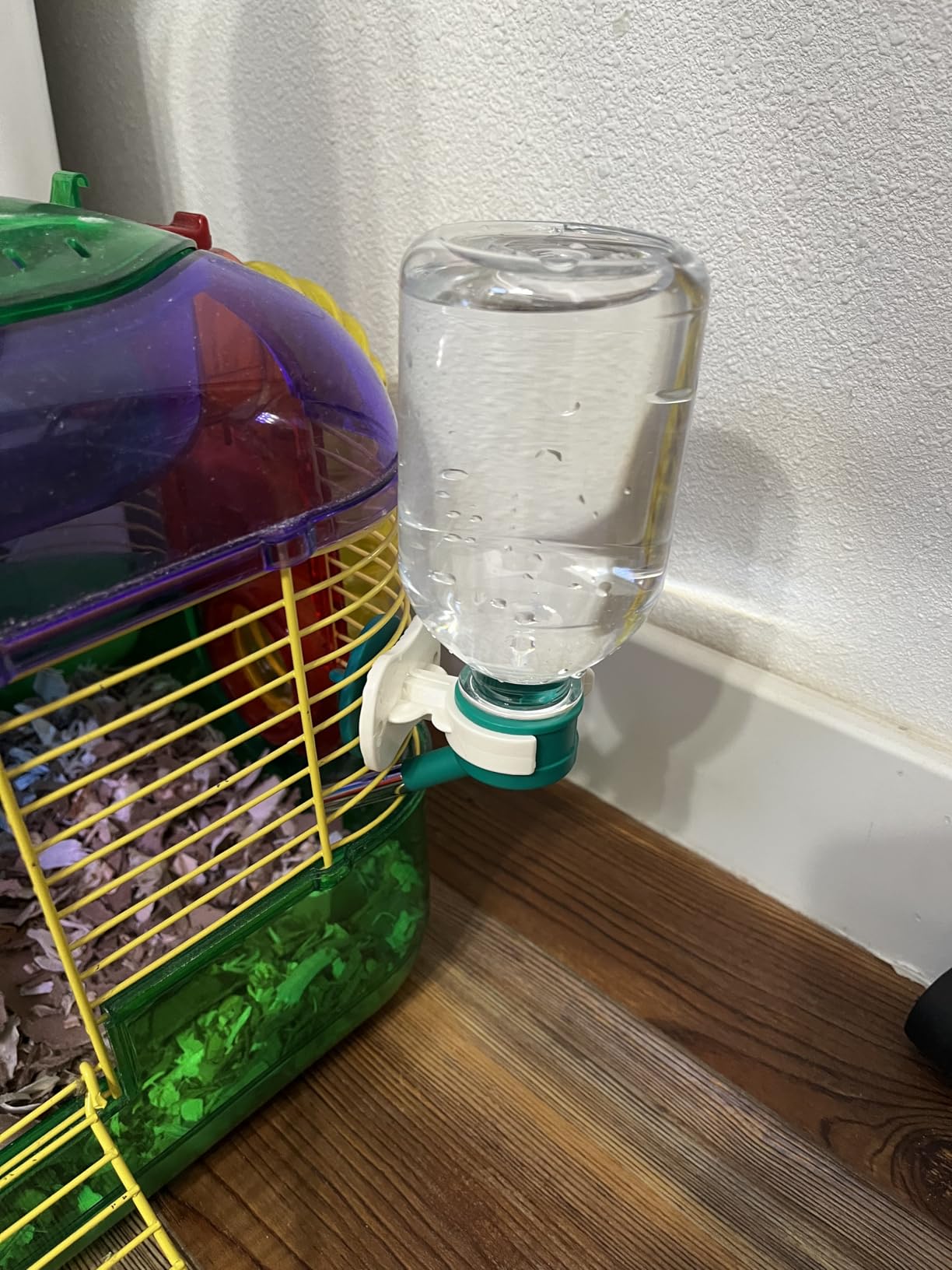 Choco Nose No-Drip Water Bottle Feeder for Guinea Pigs, Hamsters, Bunnies, Ferrets, & Small Pets, 10.2 fl.oz, 300ml - Easy to Install in Cages/Crates, US Patented Leakproof Nozzle 10mm, Blue (C128) - Customer Photo 1