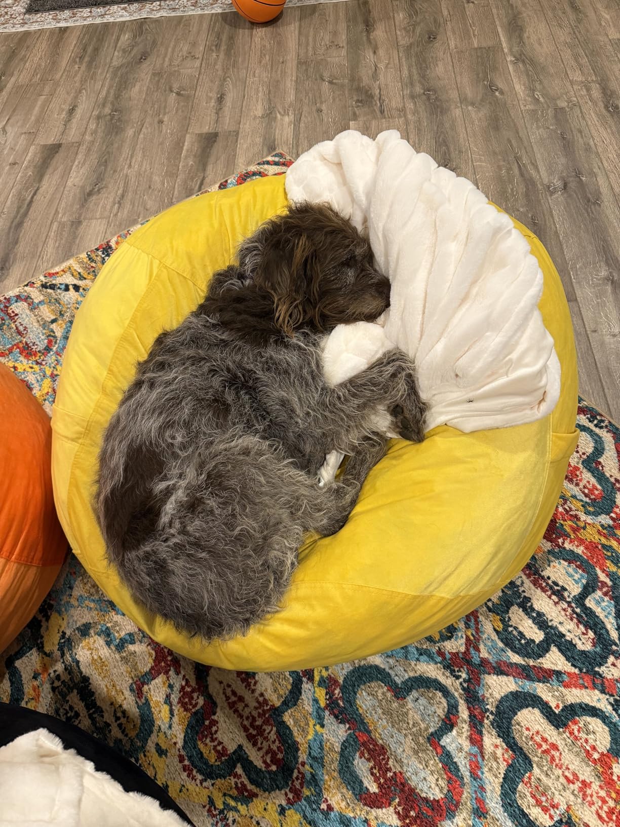 Sofa Sack Bean Bag Chair - Plush, Ultra Soft - Memory Foam Bean Bag Chair with Microsuede Cover - Stuffed Foam Filled Furniture and Accessories for Dorm Room 3 Feet - Navy - Customer Photo 1