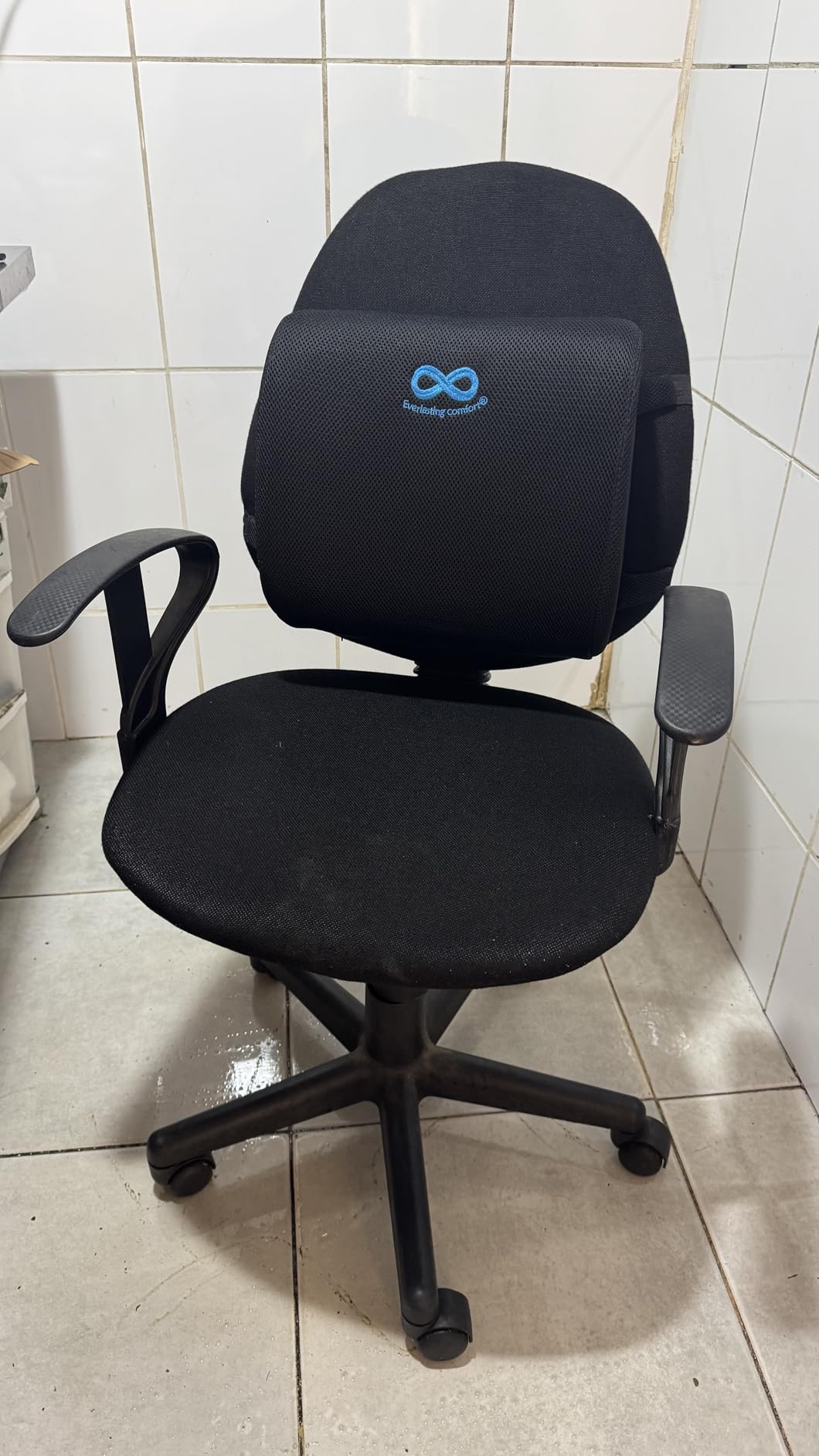 Everlasting Comfort Lumbar Support Pillow for Office Chair - Memory Foam Back Cushion for Chair, Car, Couch - Lumbar Pillow Promotes Better Posture, Back Pain Relief - Ideal for Gaming and Desk Chairs - Customer Photo 1